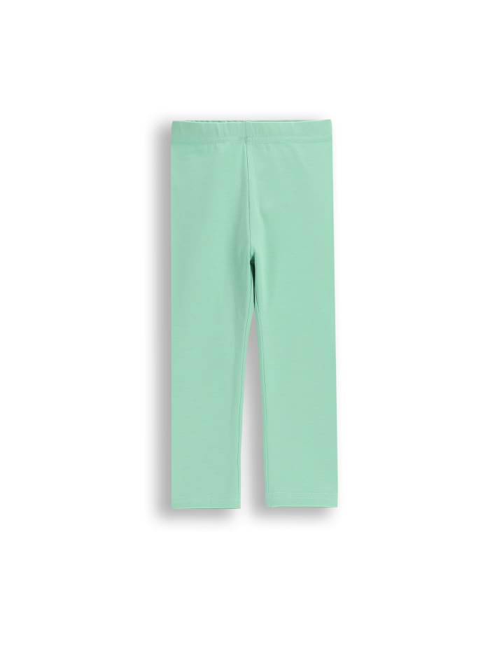 Леггинсы Coccodrillo, зеленый
Леггинсы Coccodrillo, зеленый