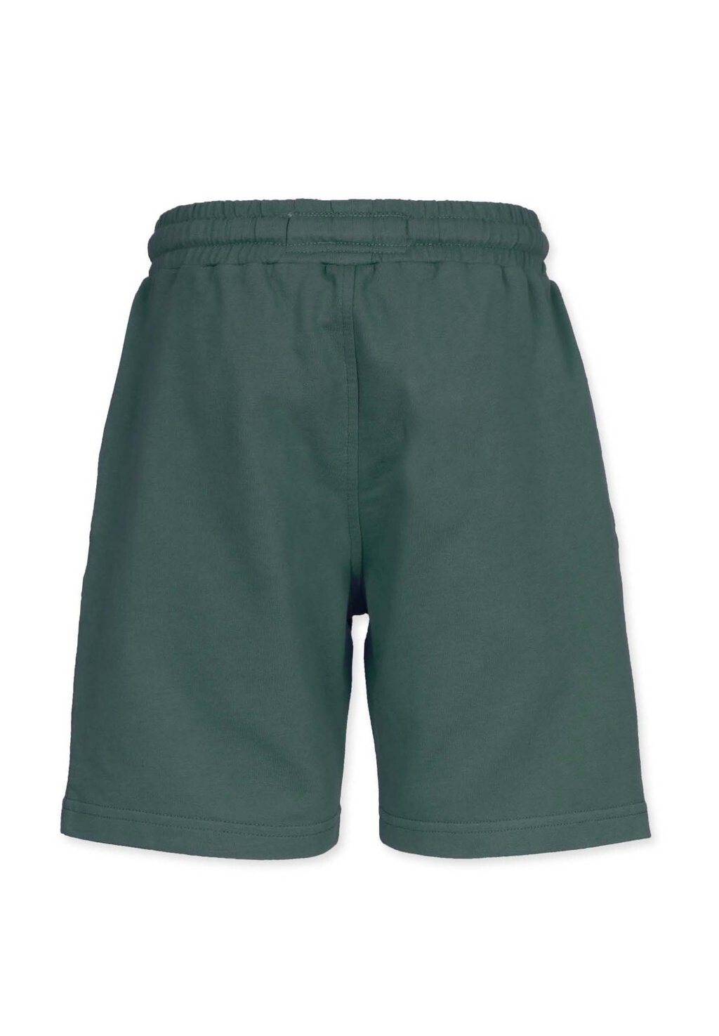 Спортивные брюки LAID BACK JOGGING Band of Rascals, темно-зеленый
Спортивные брюки LAID BACK JOGGING Band of Rascals, темно-зеленый