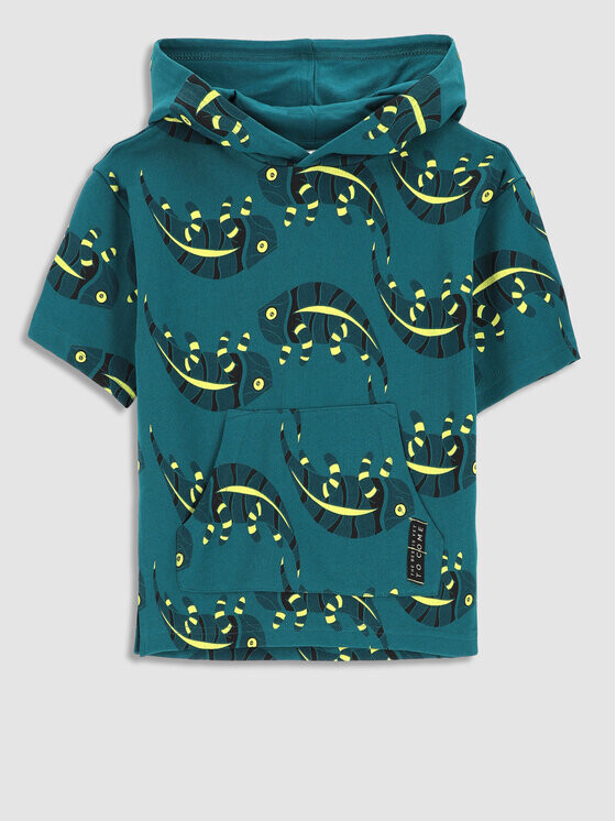 Толстовка обычного кроя Coccodrillo, бирюзовый, Зеленый, Толстовка обычного кроя Coccodrillo, бирюзовый
Толстовка обычного кроя Coccodrillo, бирюзовый, Зеленый, Толстовка обычного кроя Coccodrillo, бирюзовый