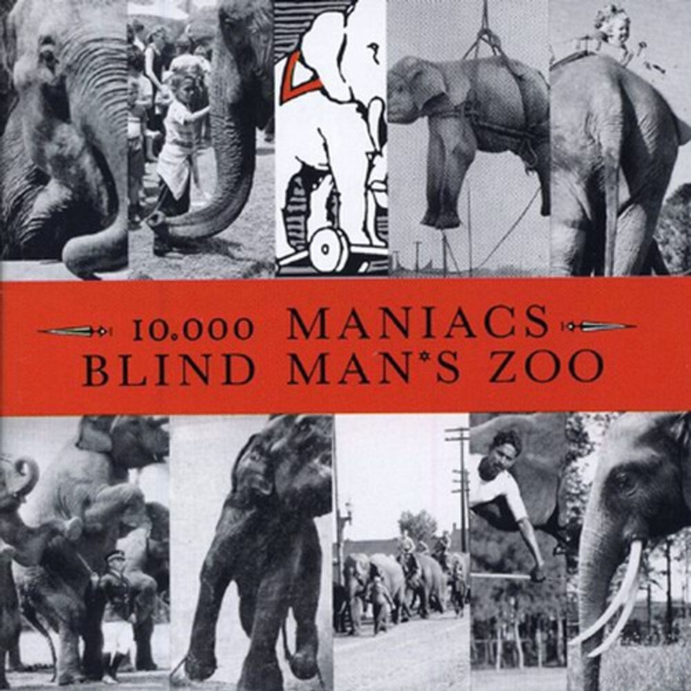 Диск CD Blind Man's Zoo - 10,000 Maniacs
Диск CD Blind Man's Zoo - 10,000 Maniacs