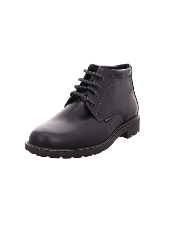 Сапоги LLOYD Schnürstiefeletten Visco, черный
Сапоги LLOYD Schnürstiefeletten Visco, черный