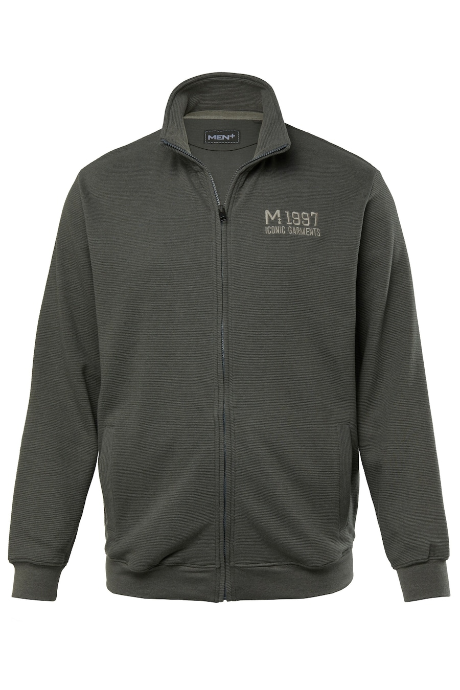 Толстовка с капюшоном на молнии Men Plus, серый
Толстовка с капюшоном на молнии Men Plus, серый