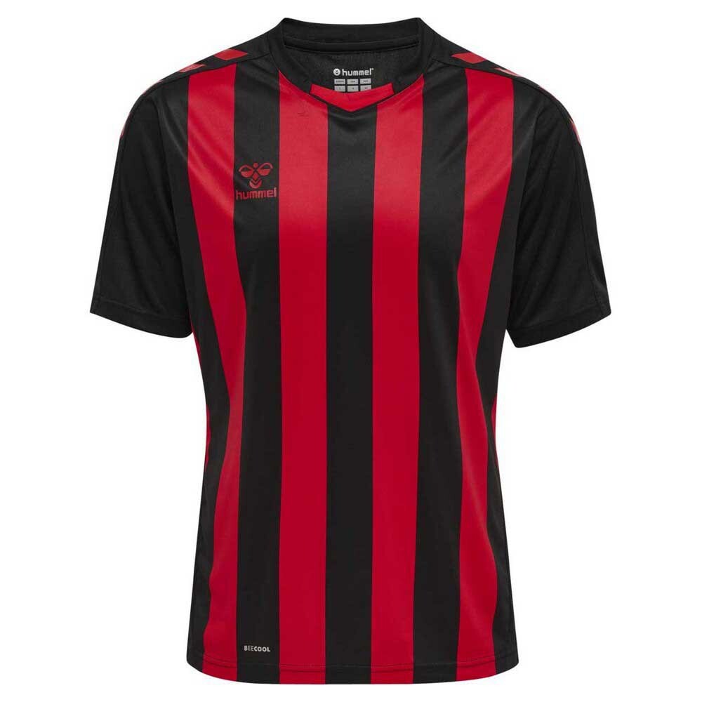 Футболка Hummel Core XK Striped, разноцветный
Футболка Hummel Core XK Striped, разноцветный