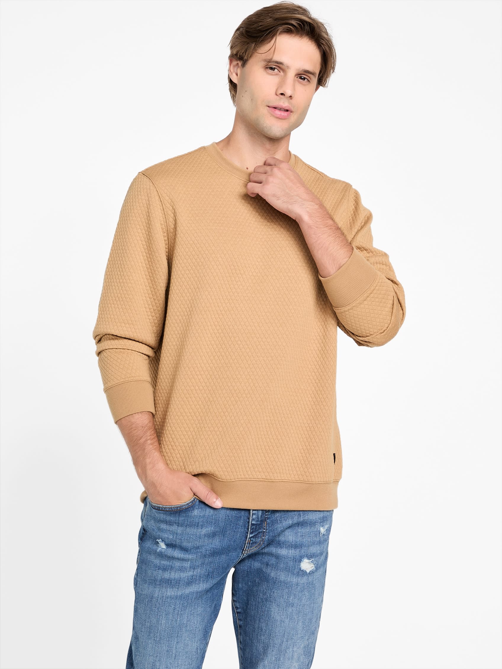 Жаккардовый свитер с круглым вырезом Omar Guess Factory, цвет toasted taupe
Жаккардовый свитер с круглым вырезом Omar Guess Factory, цвет toasted taupe