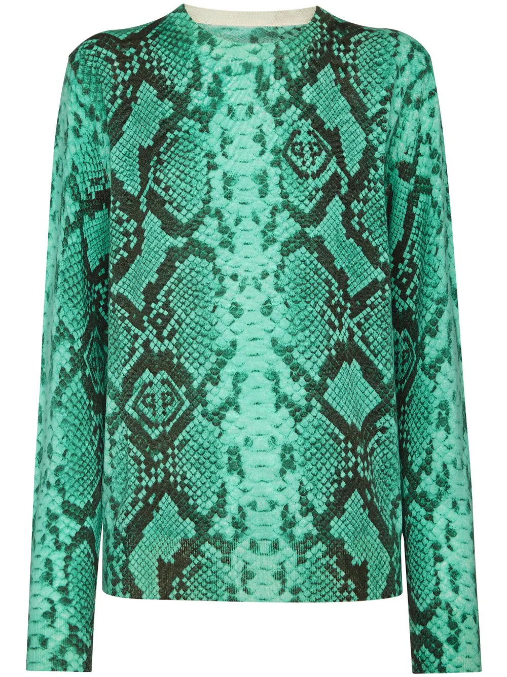 Кашемировый топ со змеиным принтом Philipp Plein, зеленый
Кашемировый топ со змеиным принтом Philipp Plein, зеленый