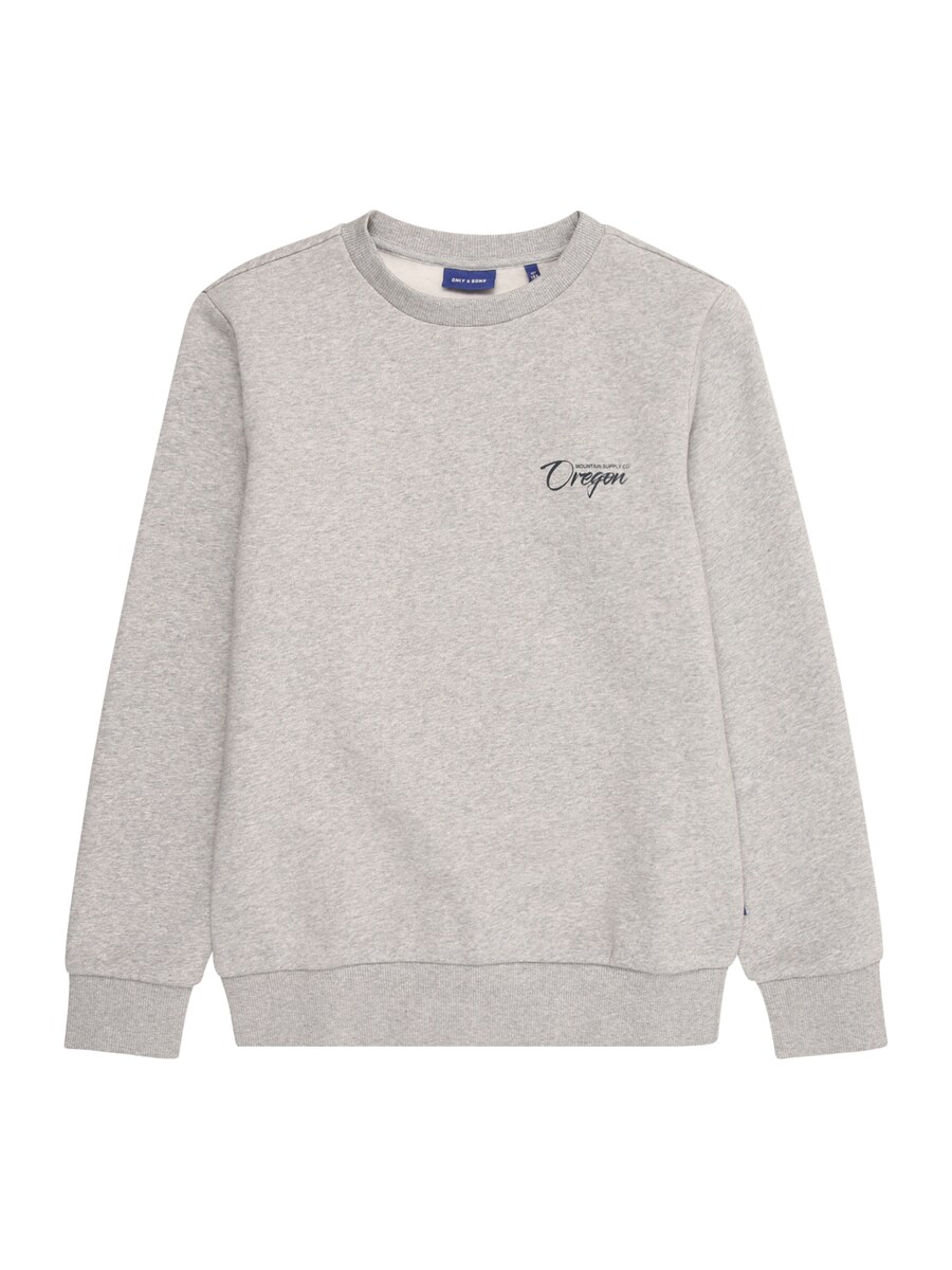 Толстовка Only & Sons Junior OSJCERES, светло-серый
Толстовка Only & Sons Junior OSJCERES, светло-серый