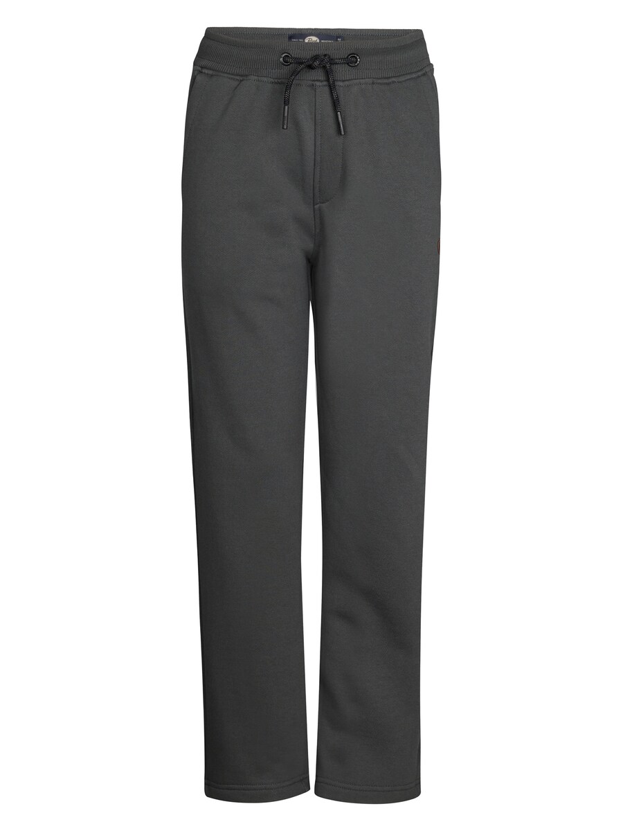 Обычные брюки Petrol Industries, темно-серый
Обычные брюки Petrol Industries, темно-серый