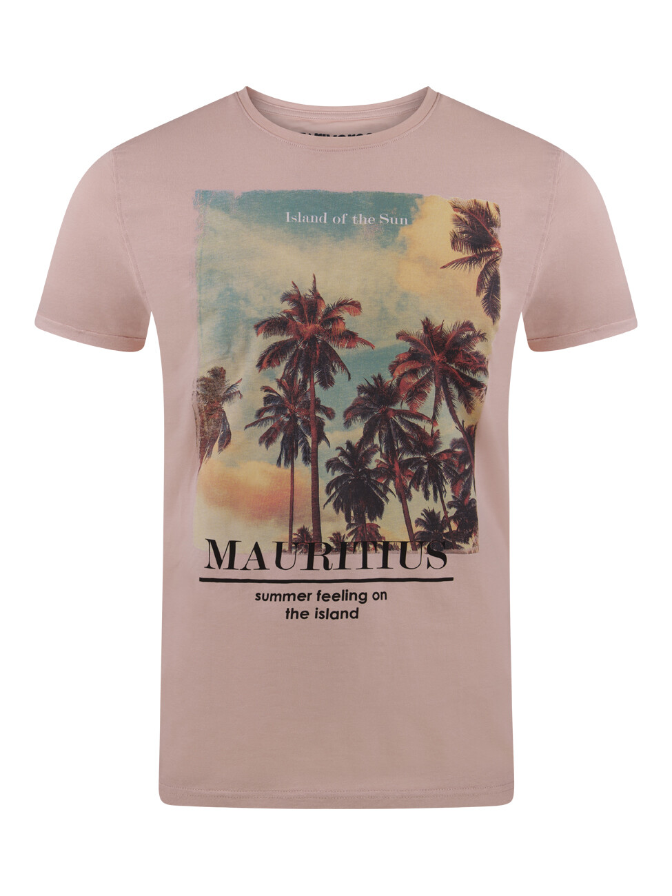 Футболка riverso RIVLukas, розовый
Футболка riverso RIVLukas, розовый