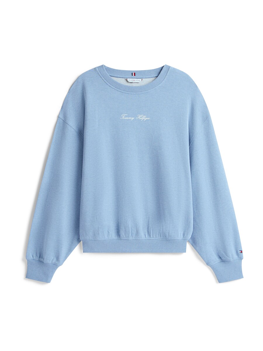 Толстовка TOMMY HILFIGER CLASSIC, светло-голубой
Толстовка TOMMY HILFIGER CLASSIC, светло-голубой
