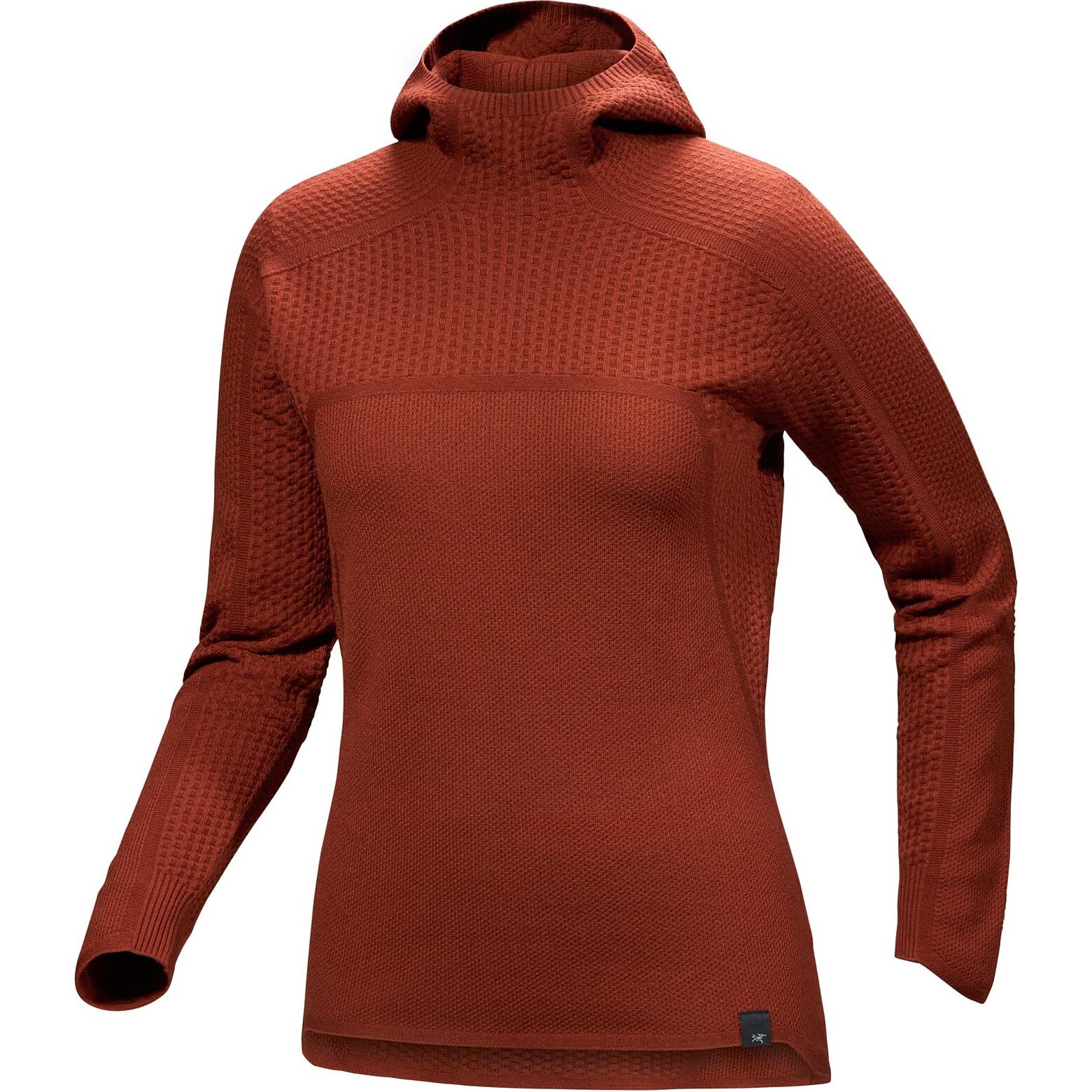 Свитер с капюшоном из мериносовой шерсти Hallam, женский Arcteryx, sequoia коричневый
Свитер с капюшоном из мериносовой шерсти Hallam, женский Arcteryx, sequoia коричневый