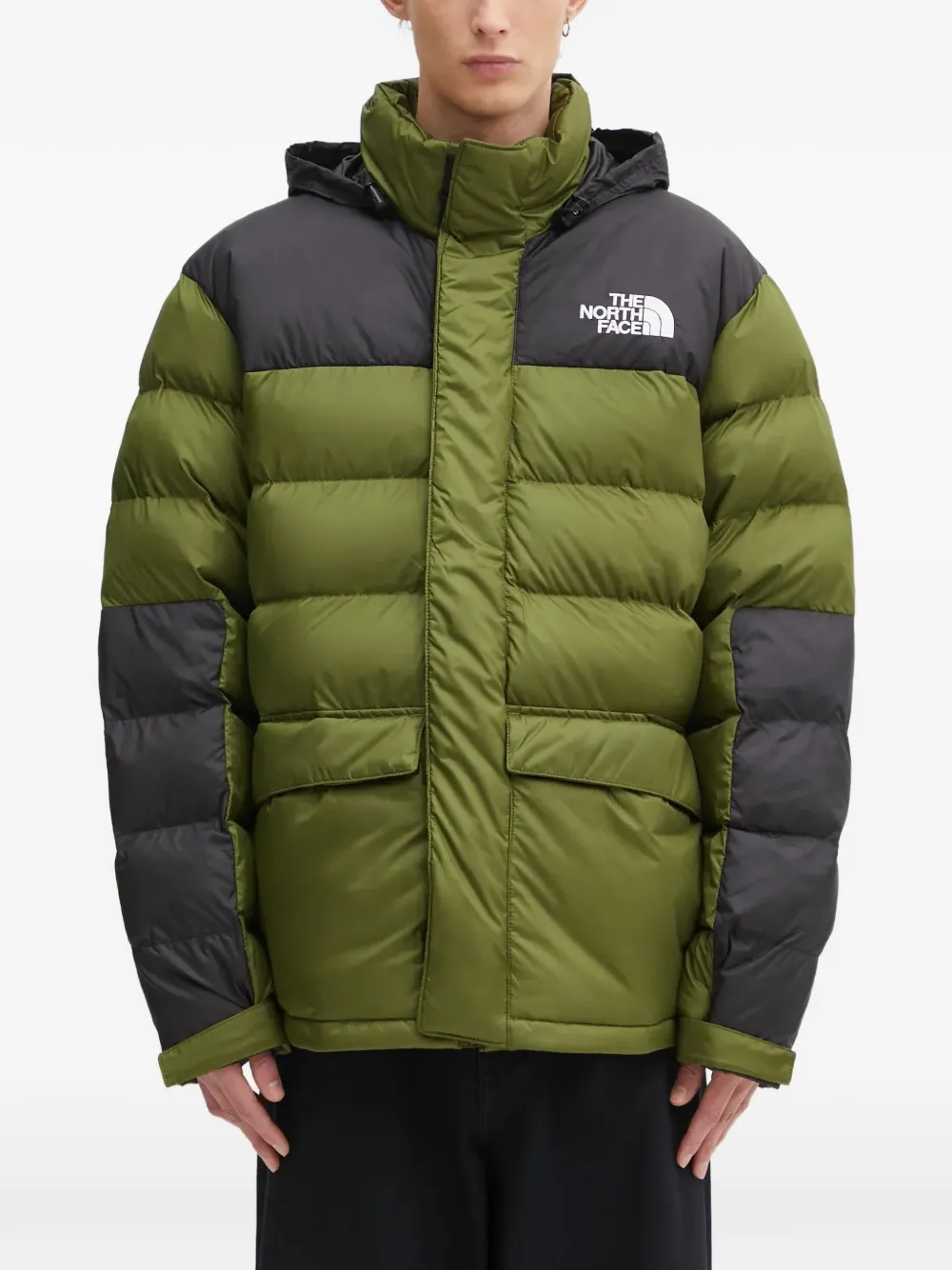 Двухцветная куртка с капюшоном The North Face, зеленый
Двухцветная куртка с капюшоном The North Face, зеленый