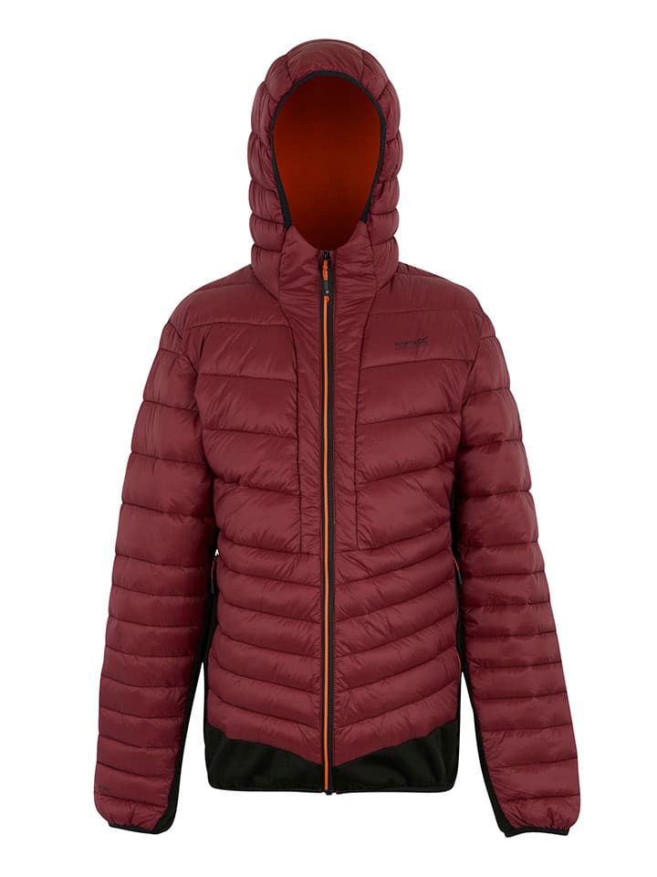 Гибридная куртка "Leedre" в Бордо Regatta
Гибридная куртка "Leedre" в Бордо Regatta