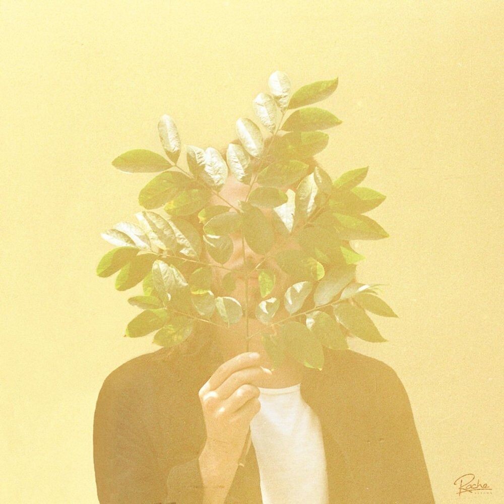 Диск CD French Kiwi Juice - FKJ
Диск CD French Kiwi Juice - FKJ