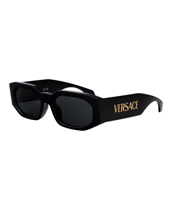 Солнцезащитные очки Ve4489U Versace, черный
Солнцезащитные очки Ve4489U Versace, черный