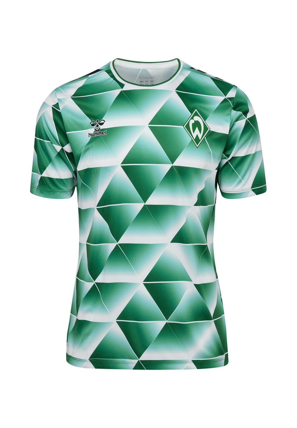 Футболка с принтом Club wear Hummel, зеленый
Футболка с принтом Club wear Hummel, зеленый