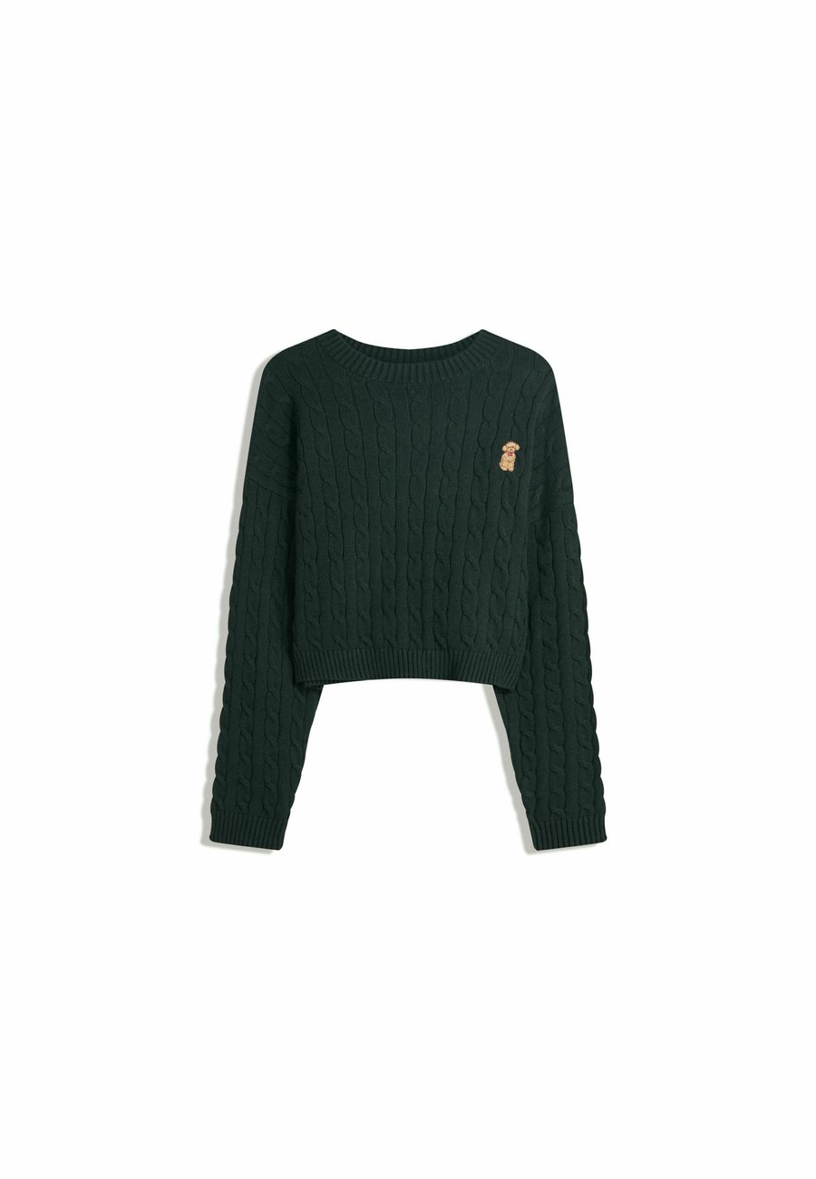 Джемпер Bershka EMBROIDERED CABLE-KNIT, Evergreen
Джемпер Bershka EMBROIDERED CABLE-KNIT, Evergreen