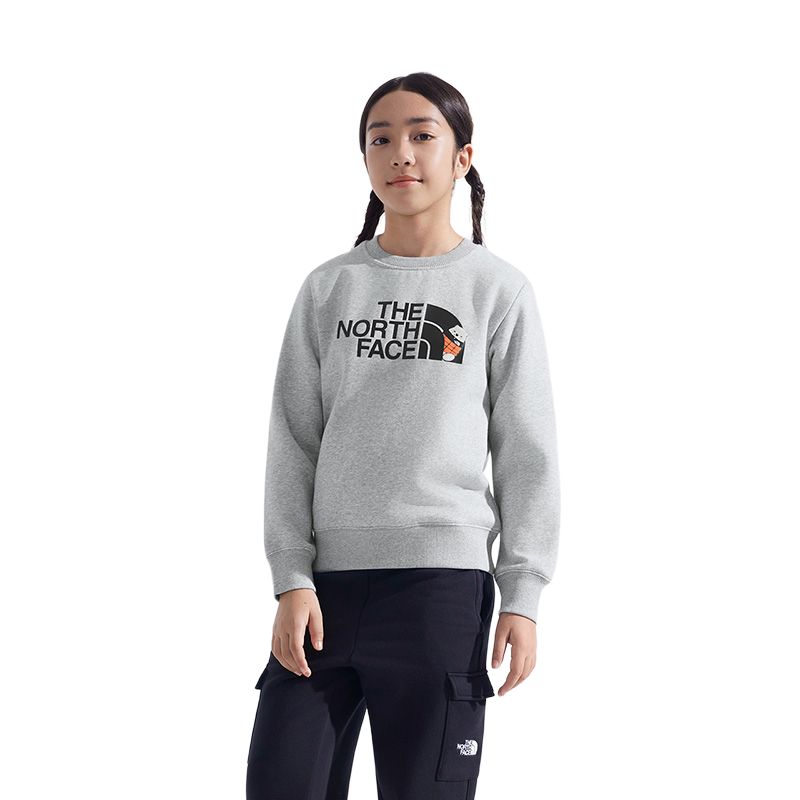 Детский свитшот THE NORTH FACE, серый
Детский свитшот THE NORTH FACE, серый