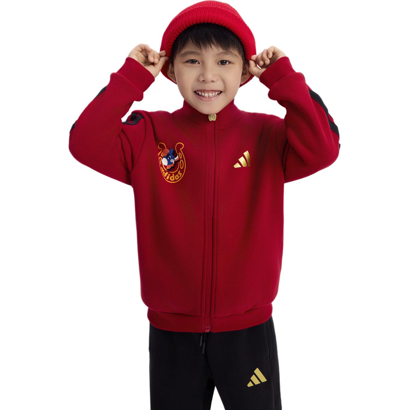 Повседневная спортивная одежда унисекс, воротник-стойка, умеренный Adidas, energy красный/черный
Повседневная спортивная одежда унисекс, воротник-стойка, умеренный Adidas, energy красный/черный