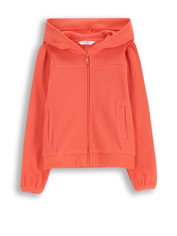 Толстовка Coccodrillo, красный
Толстовка Coccodrillo, красный