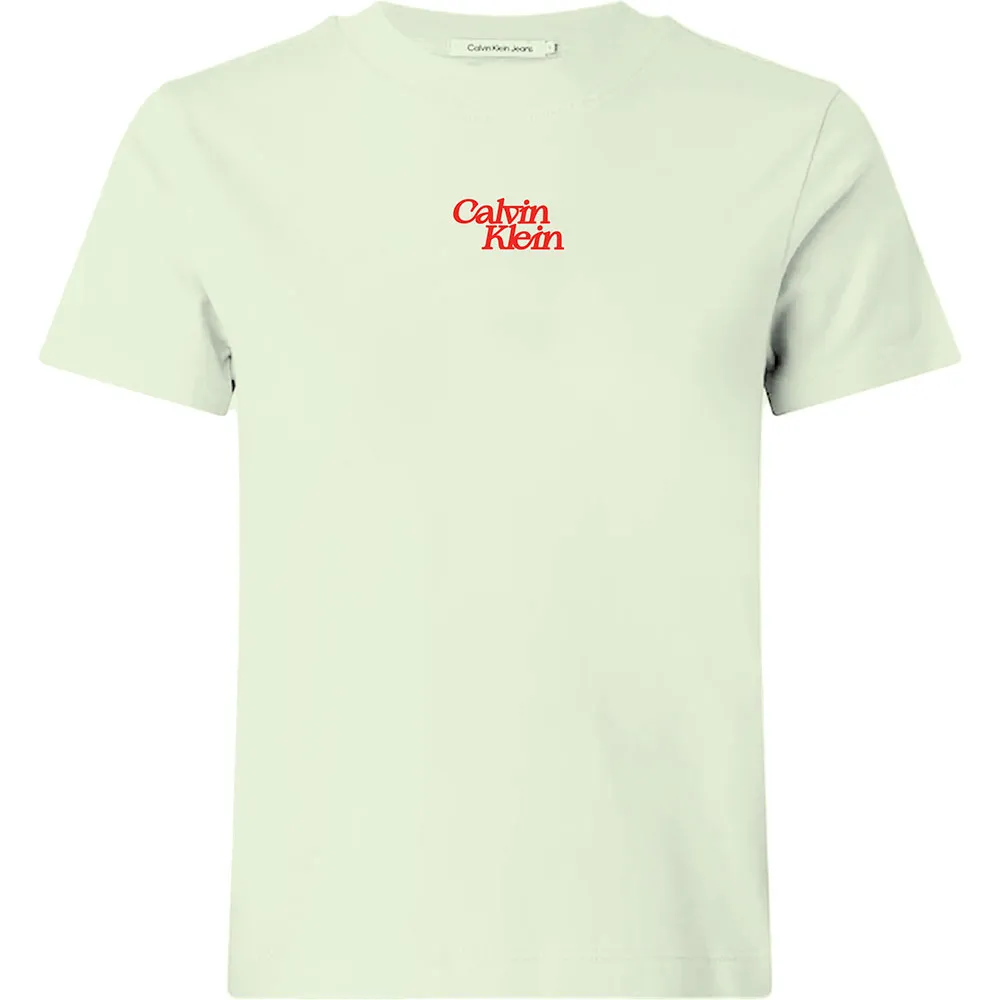 Футболка с коротким рукавом Calvin Klein Jeans Flocked Logo, бежевый
Футболка с коротким рукавом Calvin Klein Jeans Flocked Logo, бежевый