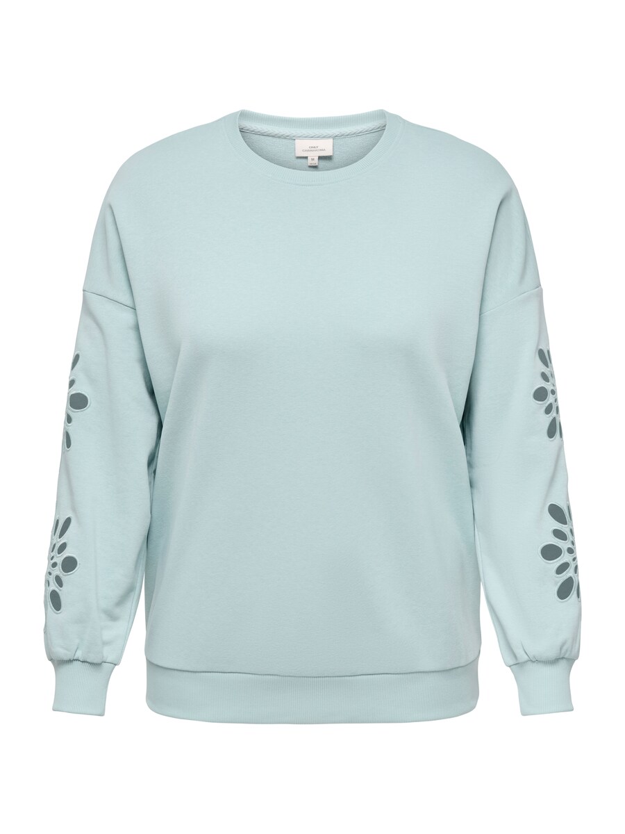 Толстовка ONLY Carmakoma CARWINNIE, дымно-синий
Толстовка ONLY Carmakoma CARWINNIE, дымно-синий