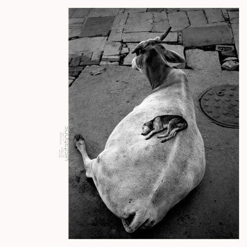 Виниловая пластинка Abrahams, Leo / Ismaily, Shahzad: Visitations
Виниловая пластинка Abrahams, Leo / Ismaily, Shahzad: Visitations