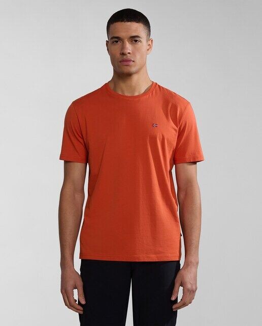 Salis SS Sum Мужская однотонная футболка с короткими рукавами Napapijri, оранжевый
Salis SS Sum Мужская однотонная футболка с короткими рукавами Napapijri, оранжевый