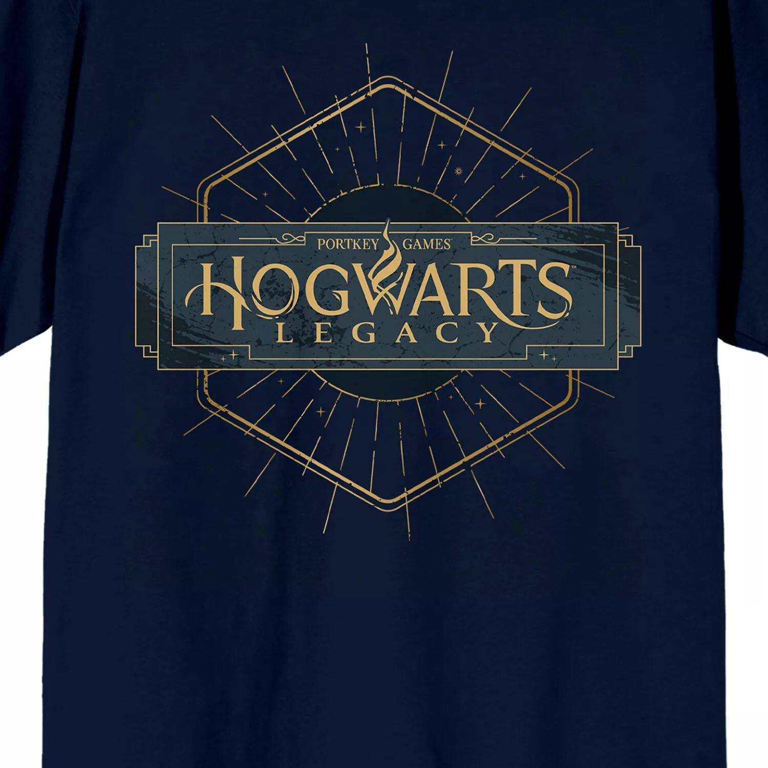 Мужская футболка с шестигранным логотипом Hogwarts Legacy Licensed Character
Мужская футболка с шестигранным логотипом Hogwarts Legacy Licensed Character