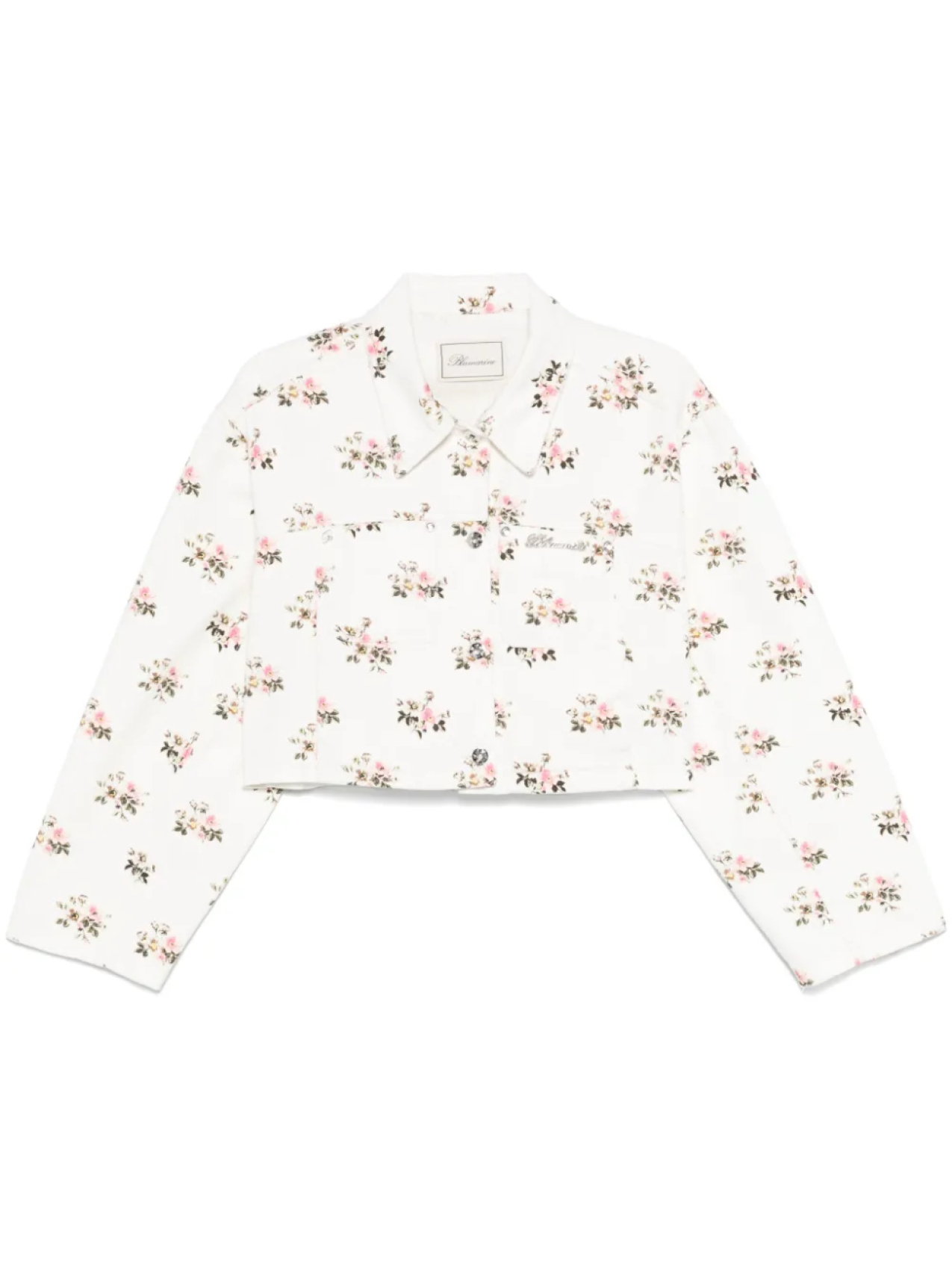 Куртка Blumarine с цветочным принтом, белый
Куртка Blumarine с цветочным принтом, белый