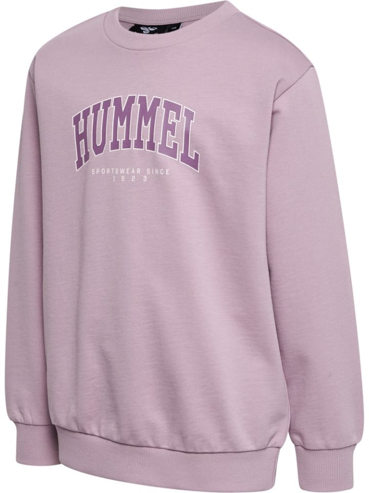 Детская толстовка розового цвета Hummel
Детская толстовка розового цвета Hummel