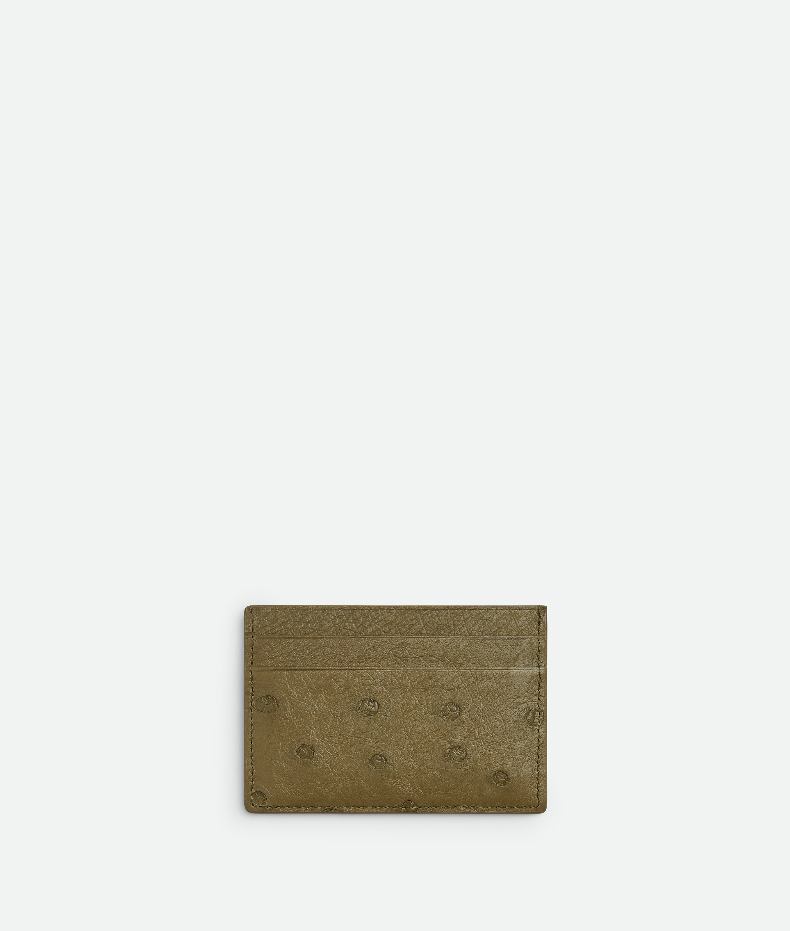 Ostrich credit card case BOTTEGA VENETA, водоросли
Ostrich credit card case BOTTEGA VENETA, водоросли