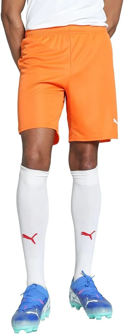 PUMA Teamgoal шорты мужские
PUMA Teamgoal шорты мужские