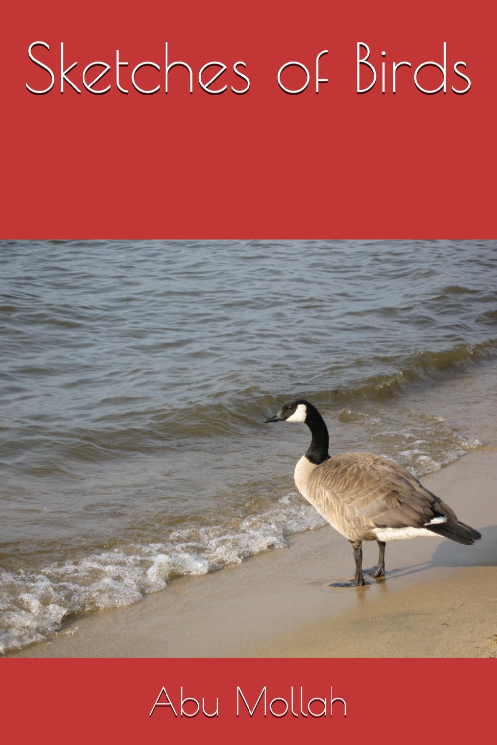 Sketches of Birds (Independently published)
Sketches of Birds (Independently published)