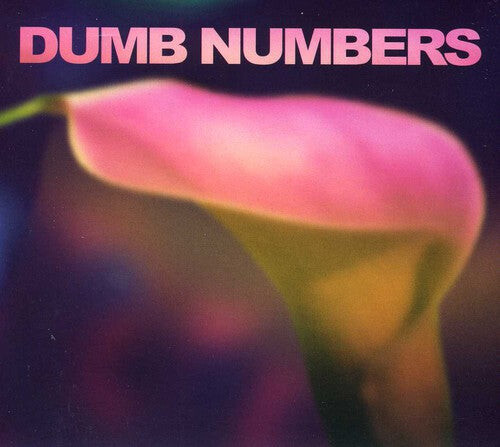 CD диск Dumb Numbers: Dumb Numbers
CD диск Dumb Numbers: Dumb Numbers