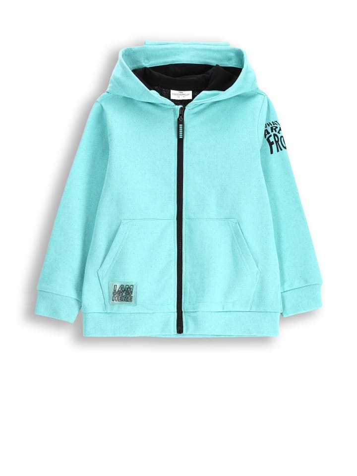 Толстовка Coccodrillo, бирюзовый
Толстовка Coccodrillo, бирюзовый