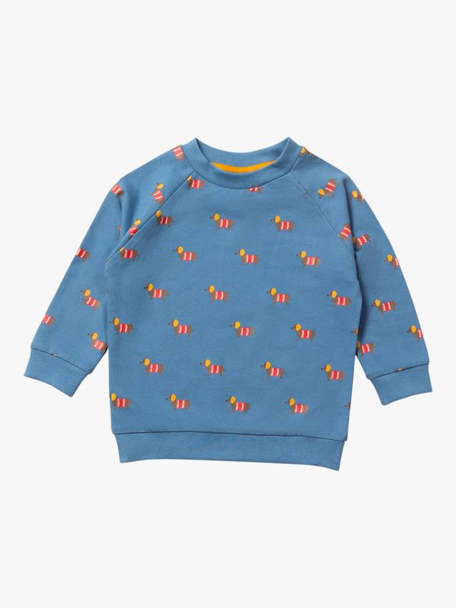 Детская толстовка-реглан для собак Little Green Radicals, синий/разноцветный
Детская толстовка-реглан для собак Little Green Radicals, синий/разноцветный