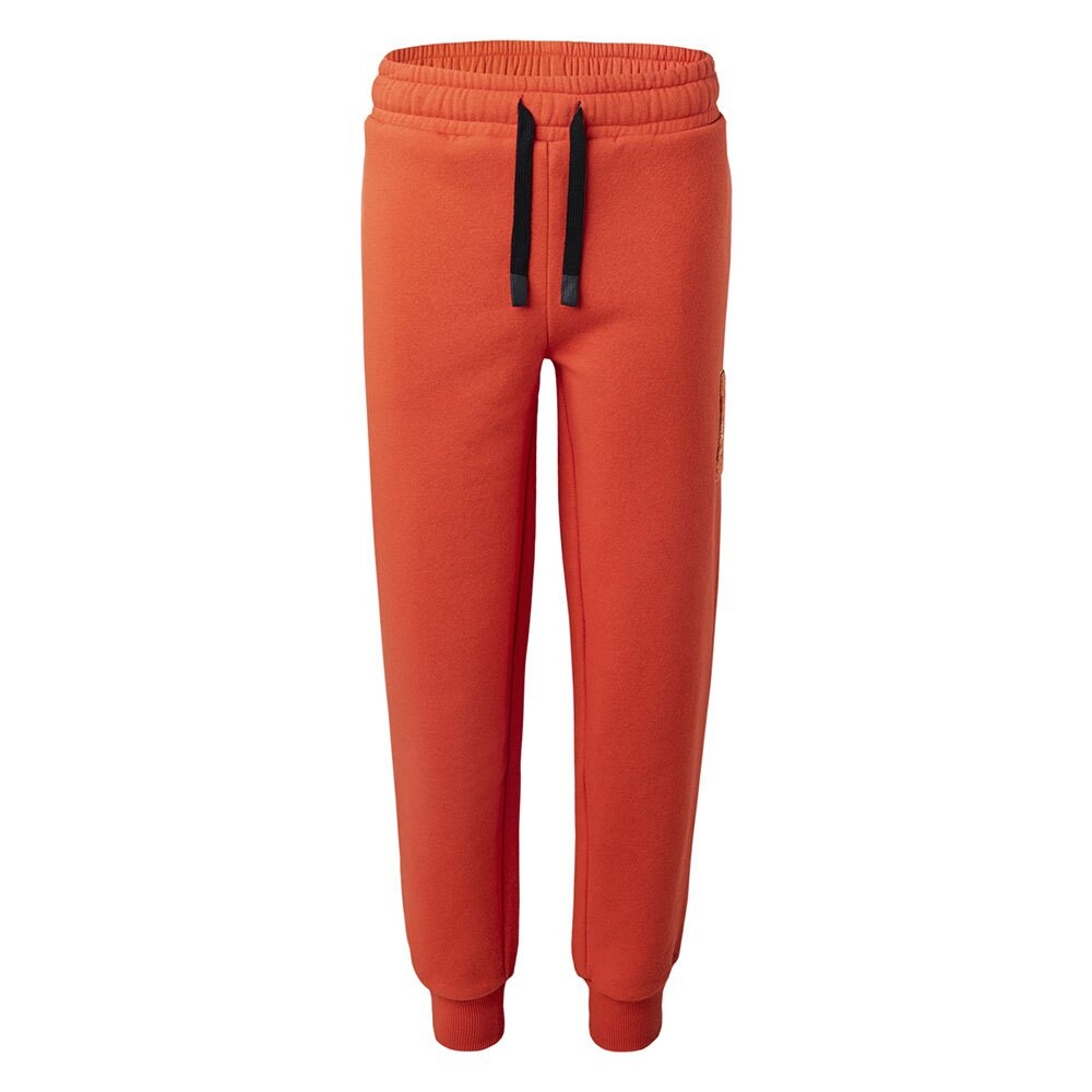 Спортивные брюки Iguana Lokiro Sweat, оранжевый
Спортивные брюки Iguana Lokiro Sweat, оранжевый