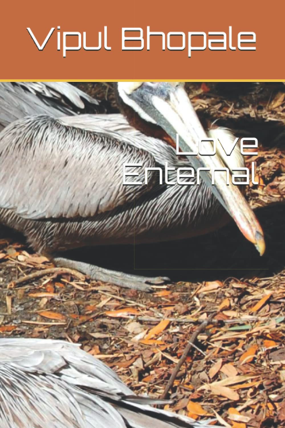 Love Enternal
Love Enternal