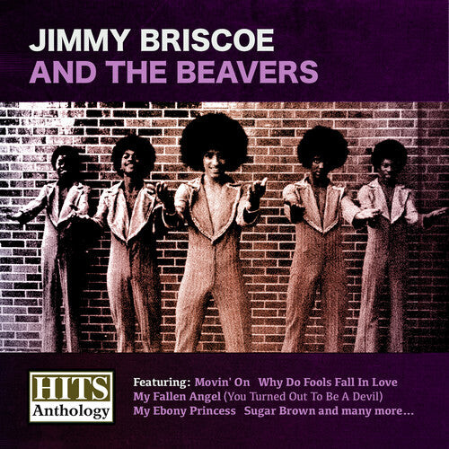 CD диск Briscoe, Jimmy: Hits Anthology: Jimmy Briscoe & Beavers
CD диск Briscoe, Jimmy: Hits Anthology: Jimmy Briscoe & Beavers