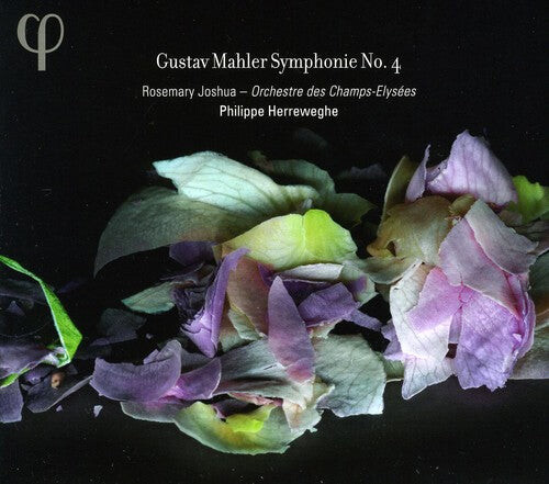CD диск Mahler / Orchestre Des Champs Elysees / Herreweghe: Symphony 4
CD диск Mahler / Orchestre Des Champs Elysees / Herreweghe: Symphony 4