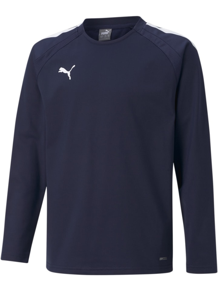 Свитер TeamLIGA Training Sweat Jr синего цвета Puma
Свитер TeamLIGA Training Sweat Jr синего цвета Puma