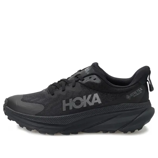 Кроссовки challenger art 7 gtx Hoka One One, черный
Кроссовки challenger art 7 gtx Hoka One One, черный