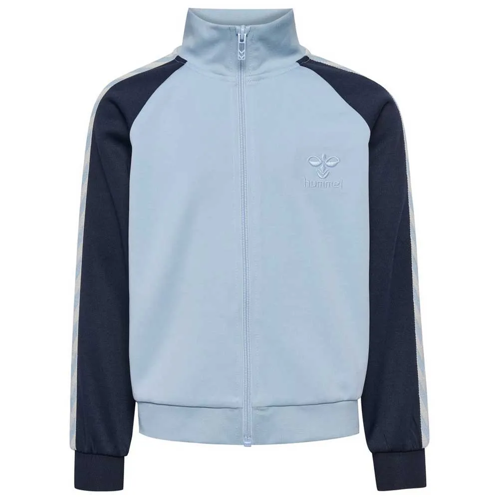 Толстовка Hummel Daily full zip, синий
Толстовка Hummel Daily full zip, синий