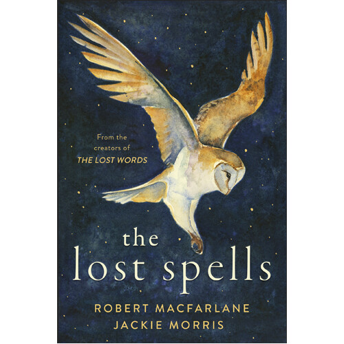 Книга The Lost Spells
Книга The Lost Spells