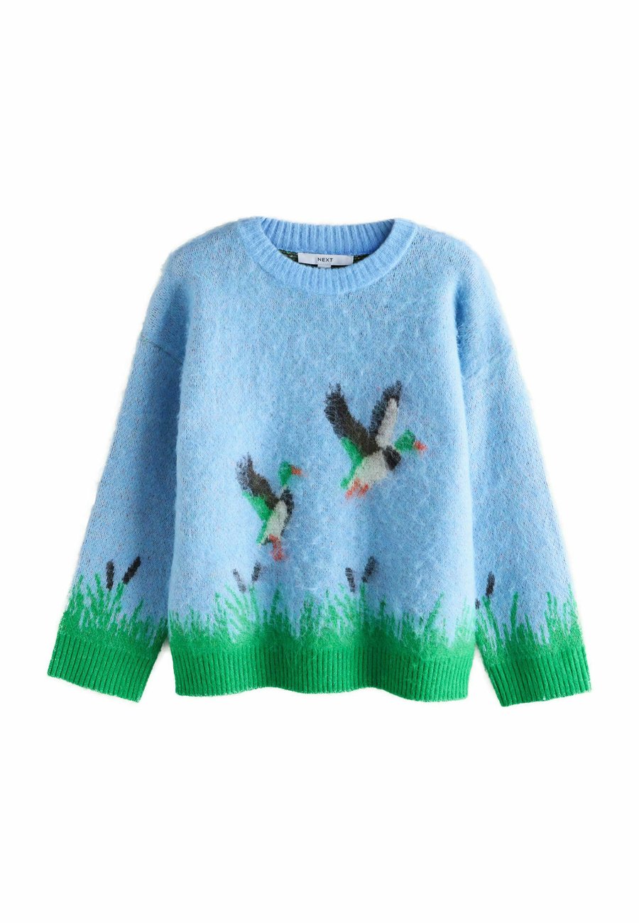 Джемпер Next REGULAR FIT , Blue Mallard Duck Graphic/Blue
Джемпер Next REGULAR FIT , Blue Mallard Duck Graphic/Blue
