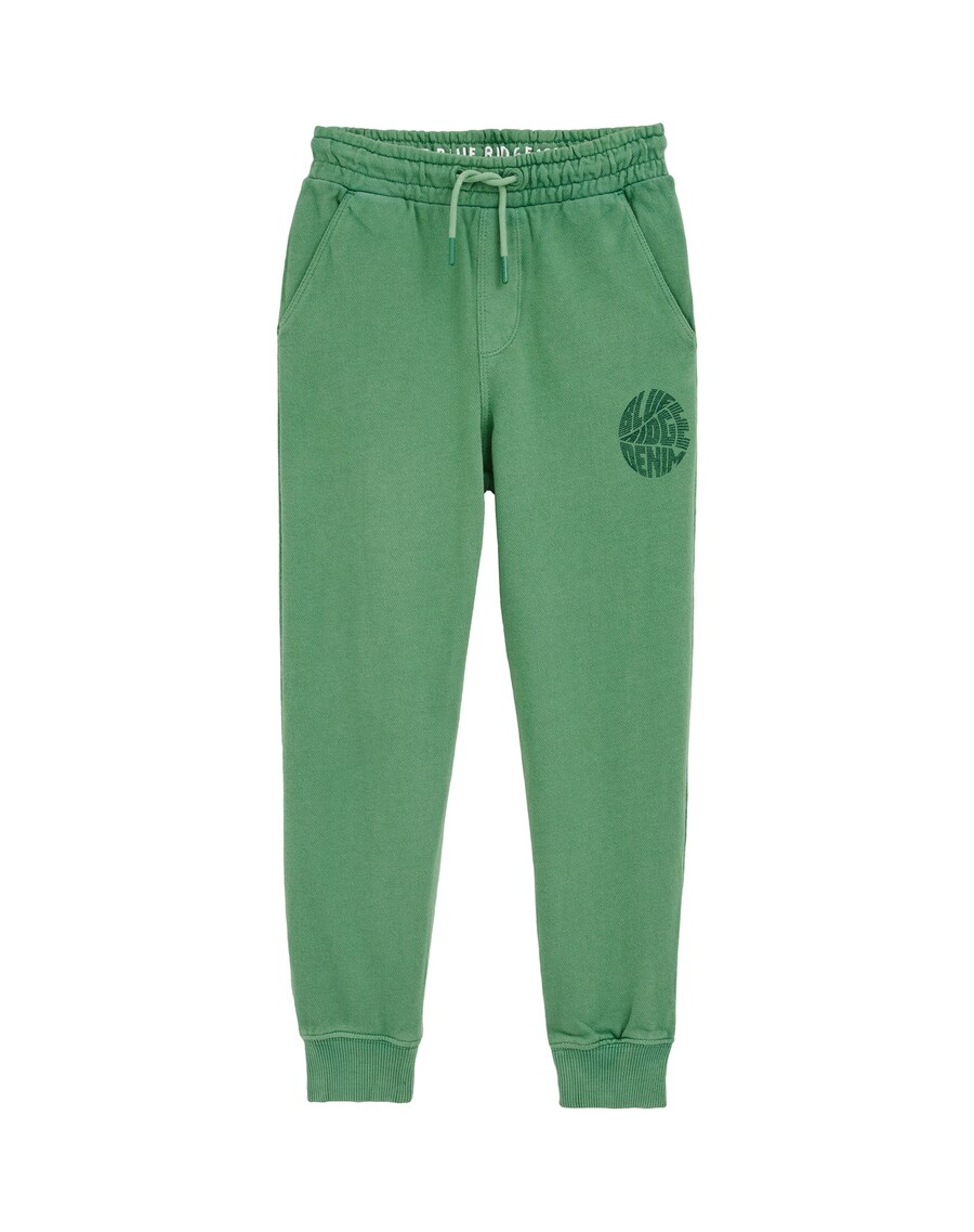 Зауженные брюки WE Fashion, зеленый
Зауженные брюки WE Fashion, зеленый