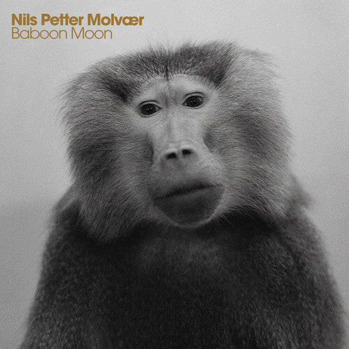 CD диск Molvaer, Nils Petter: Baboon Moon
CD диск Molvaer, Nils Petter: Baboon Moon