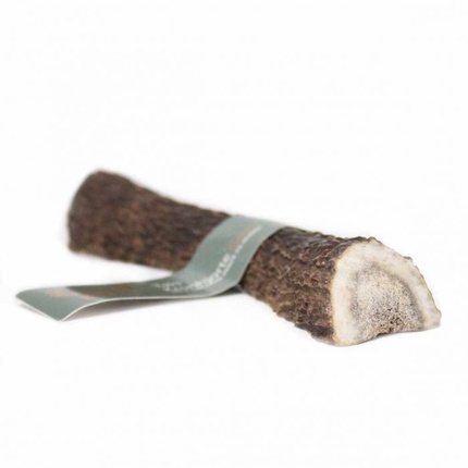 Deer Antler Split L 15cm - 01-602 Taki
Deer Antler Split L 15cm - 01-602 Taki
