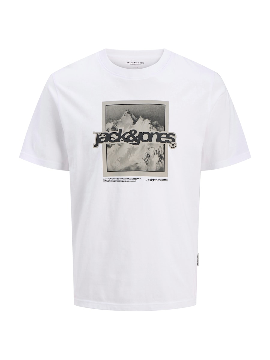 Рубашка JACK & JONES JCOFLARE, белый
Рубашка JACK & JONES JCOFLARE, белый