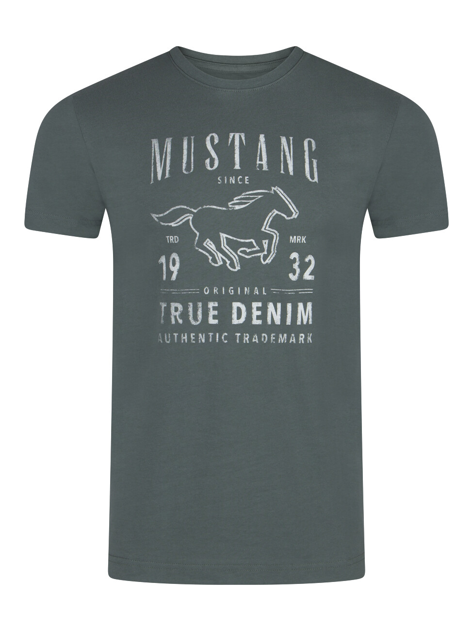 Футболка Mustang Basic Print Tee, зеленый
Футболка Mustang Basic Print Tee, зеленый